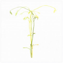 01-02-03-04 -[*->http://www.xtraces.com/2016_04_01_archive.html]-Aquarelle sur papier, 65x50 cm