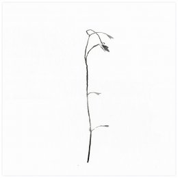 02 -[*->http://www.xtraces.com/2016_04_01_archive.html]-Aquarelle sur papier, 65x50 cm